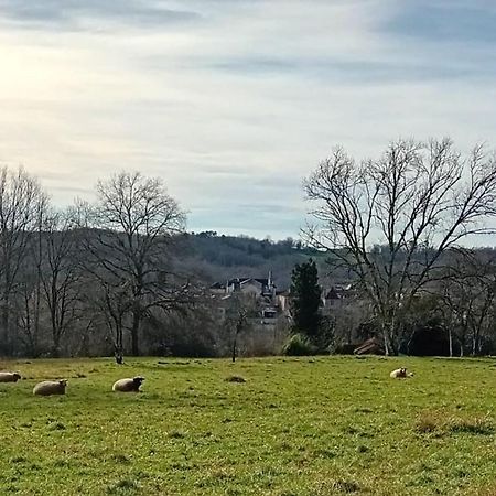 Le Petit Figuier Villefranche-du-Périgord Exterior foto
