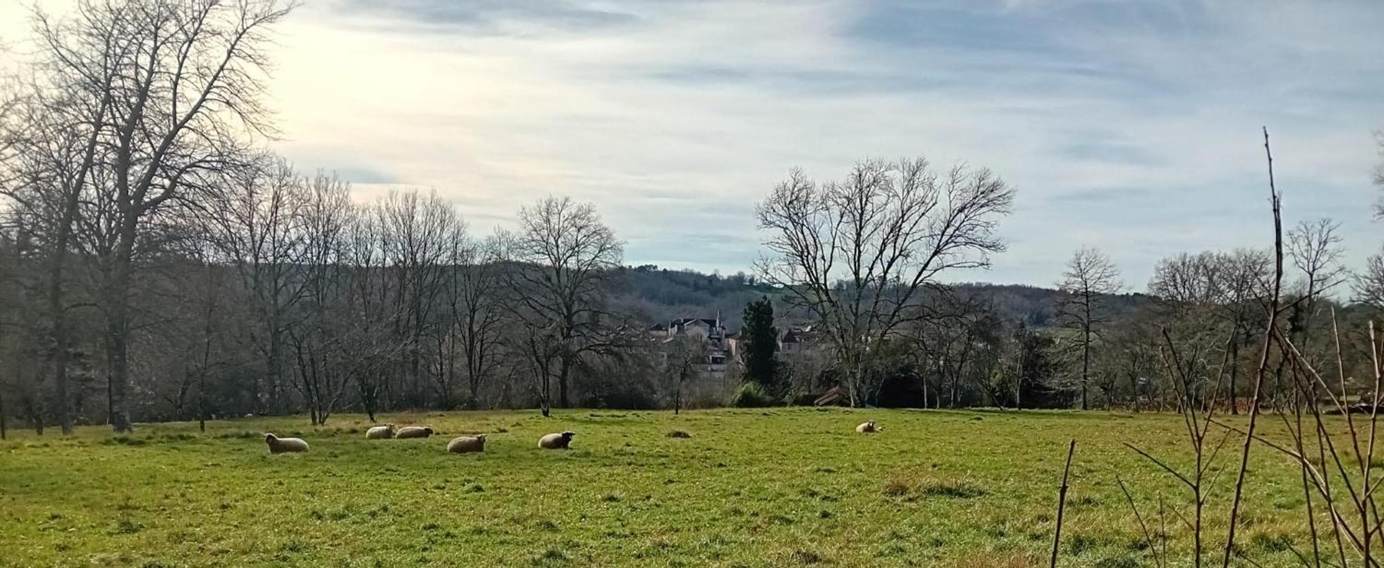 Le Petit Figuier Villefranche-du-Périgord Exterior foto